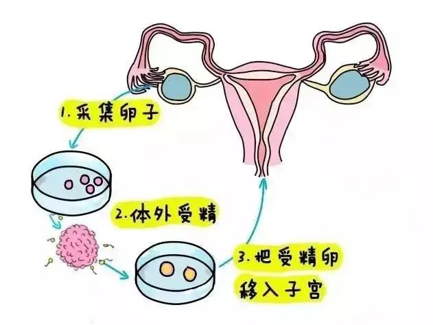 微信图片_20220728091334