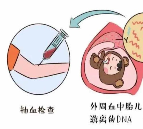 图片4